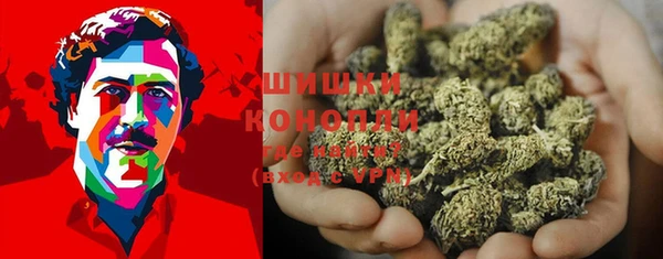 сатива Нея
